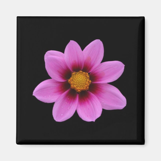 Pink Blossom Magnet (Front)