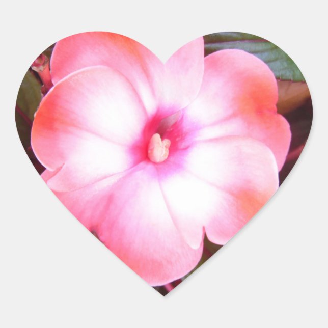 Pink Blossom Stickers (Front)