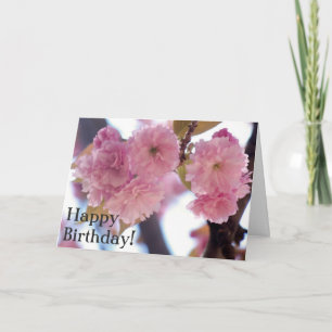 Pink Blossoms Birthday Blessings Card