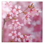Pink Blossoms Ceramic Tile<br><div class="desc">Add some charm and nature to your life!</div>