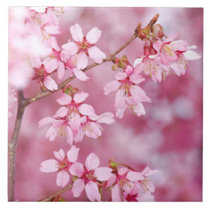 Pink Blossoms Ceramic Tile