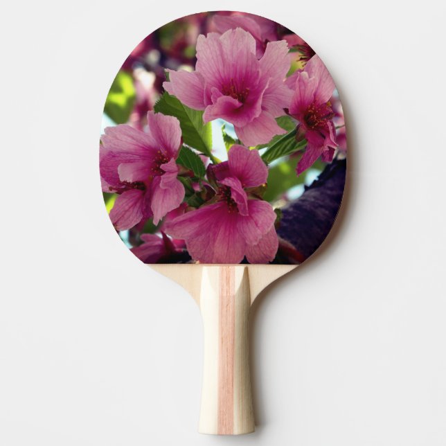 Pink Blossoms floral  Ping Pong Paddle (Front)