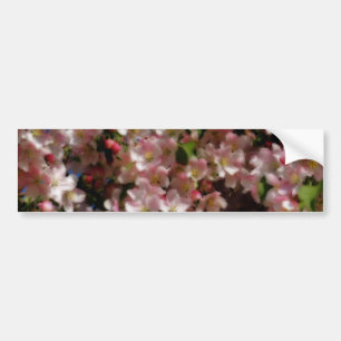 Pink Blossoms Flower Bumper Sticker