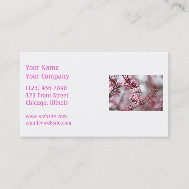 Pink Blossoms in Spring Photo Business Card (Front)