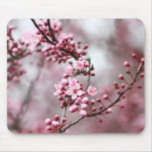 Pink Blossoms in Spring Photo Mouse Pad