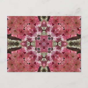 Pink Blossoms Kaleidoscope Flower Postcard