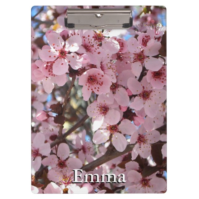 Pink Blossoms on Ornamental Flowering Tree Clipboard (Front)
