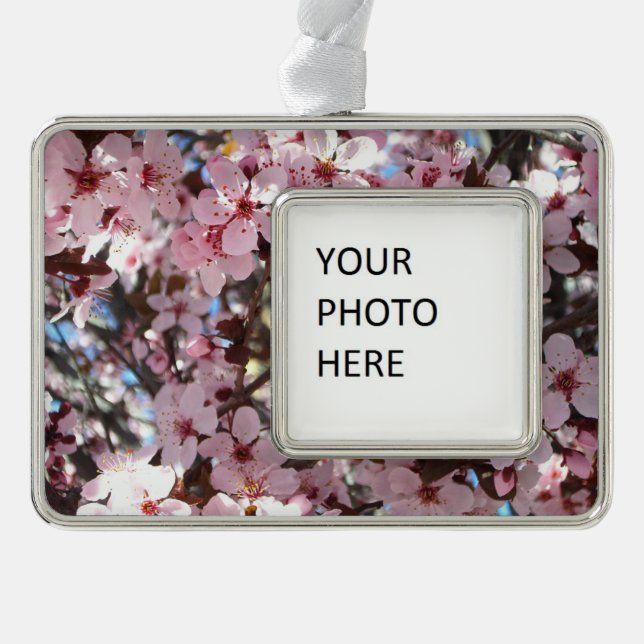 Pink Blossoms on Ornamental Flowering Tree Silver Plated Framed Ornament (Front)