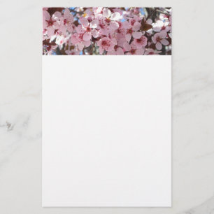 Pink Blossoms on Ornamental Flowering Tree Stationery
