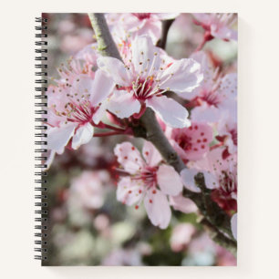 Pink Blossoms Red Stems. Notebook