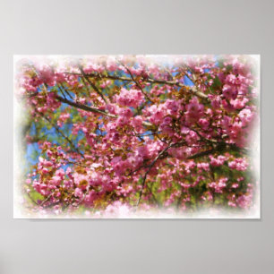 Pink Blossoms Watercolor Photo Painting Flower Poster