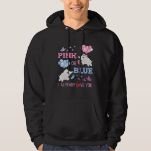 Pink Blue Gender Reveal Pregnancy Elephants Footpr Hoodie