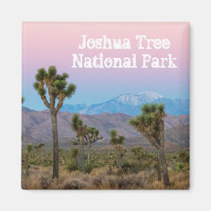 Pink Blue Joshua Tree National Park Desert Sunris Magnet