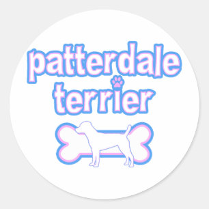 Pink & Blue Patterdale Terrier Classic Round Sticker