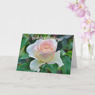 Pink Blush Rose Flower Art Birthday Card