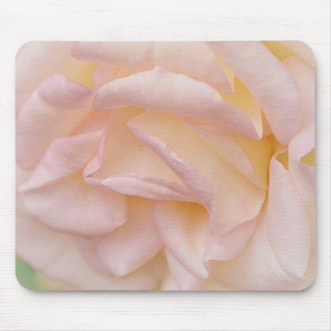 Pink Blush Rose Petals Art Mouse Pad (Front)