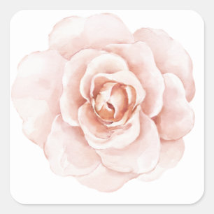 Pink Blush Watercolor Elegant Floral Romantic Square Sticker