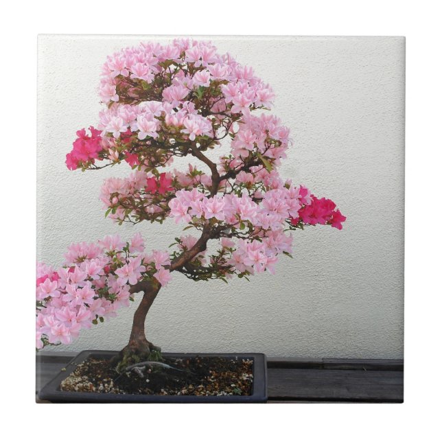 Pink Bonsai Tree Tile (Front)