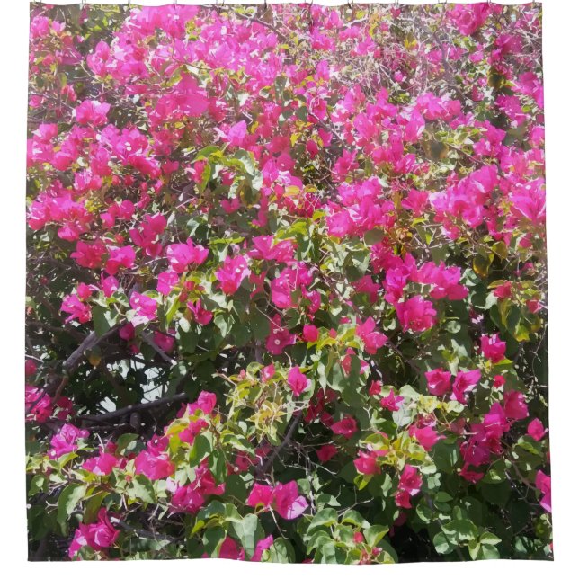 Pink Bougainvillea Bush Print Shower Curtain (Front)