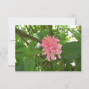 Pink Brazilian Plume Flower on a Thank You card