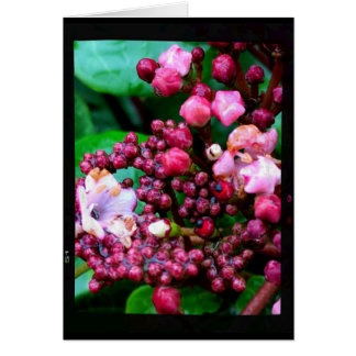 Pink Buds on Green Leaves Blank Card
