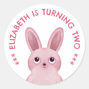 Pink bunny birthday classic round sticker