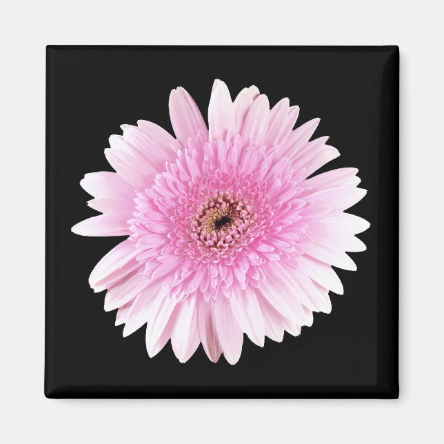 Pink Burst Magnet (Front)