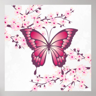 Pink Butterfly And Cherry Blossoms Poster