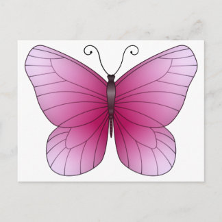 Pink Butterfly Postcard