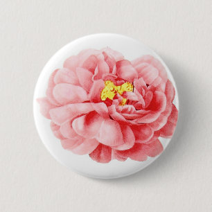 Pink Cabbage Rose Flower Shabby Cottage 6 Cm Round Badge