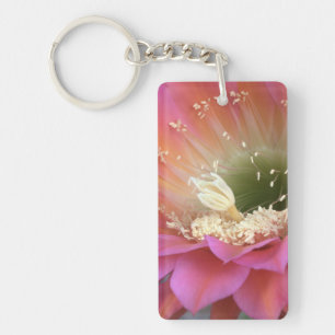 Pink cactus flower in the desert key ring