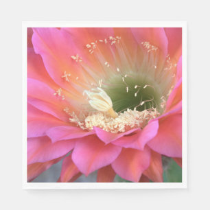 Pink cactus flower in the desert napkin