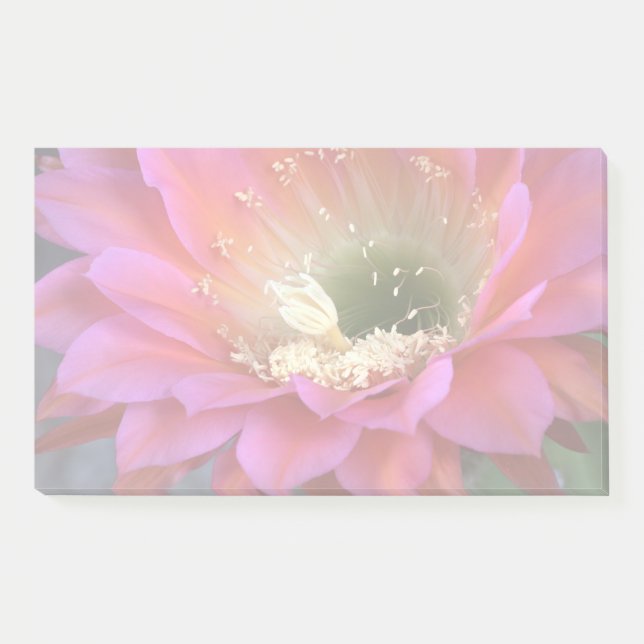 Pink cactus flower in the desert post-it notes (Front)