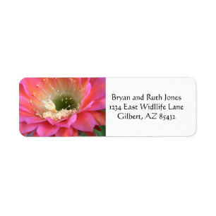 Pink cactus flower in the desert return address label