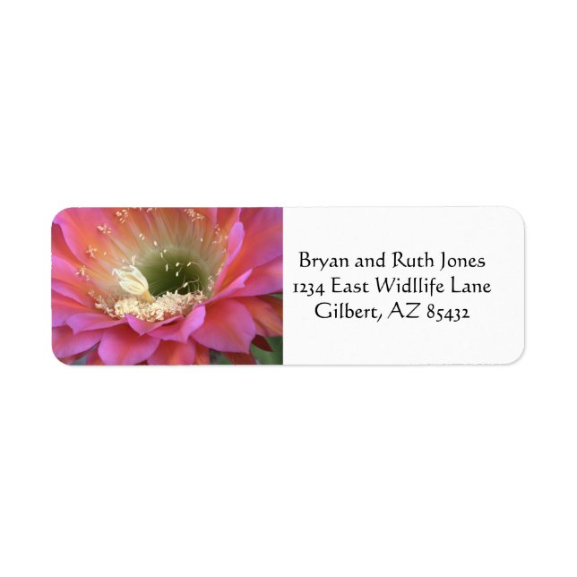 Pink cactus flower in the desert return address label (Front)