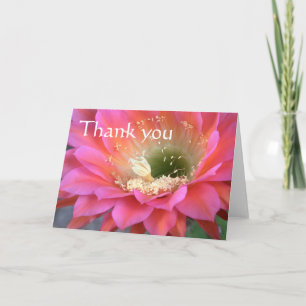 Pink cactus flower in the desert, thank you. you card