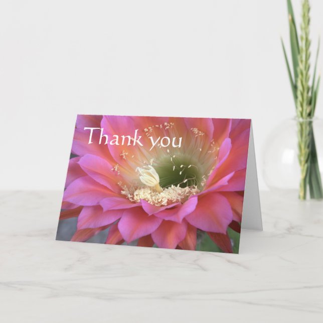 Pink cactus flower in the desert, thank you. you card (Front)