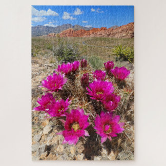 Pink cactus flowers in Red Rock Canyon, NV Jigsaw Puzzle