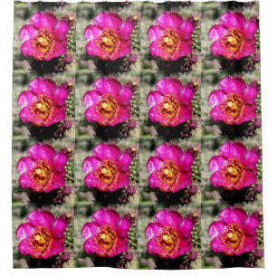 pink cactus flowers shower curtain
