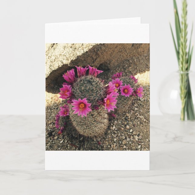 Pink Cactus in Bloom Holiday Card (Front)