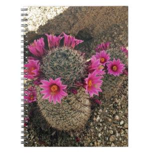 Pink Cactus in Bloom Notebook