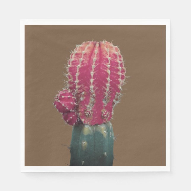 Pink Cactus Photo  Paper Napkins (Front)