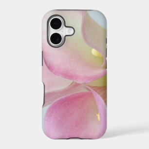 Pink Calla Lilies