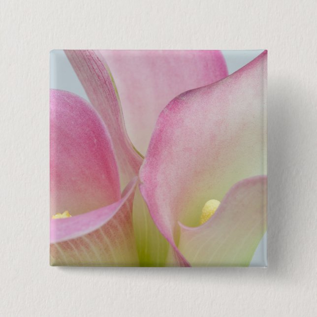 Pink Calla Lilies 15 Cm Square Badge (Front)