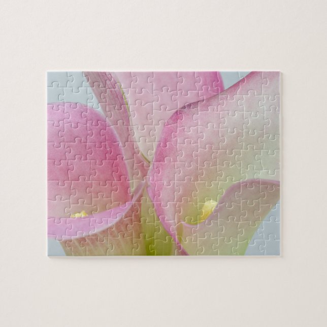 Pink Calla Lilies Jigsaw Puzzle (Horizontal)