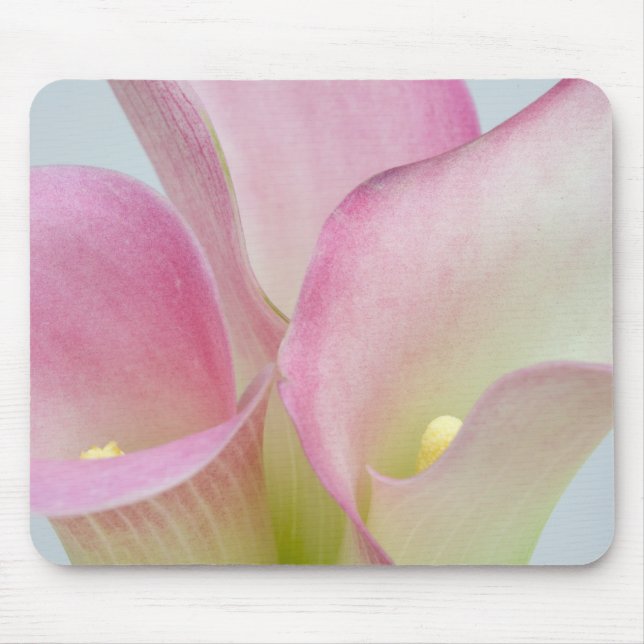 Pink Calla Lilies Mouse Pad (Front)