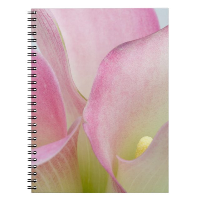 Pink Calla Lilies Notebook (Front)