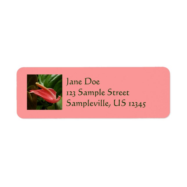 Pink Calla Lily Elegant Floral Return Address Label (Front)