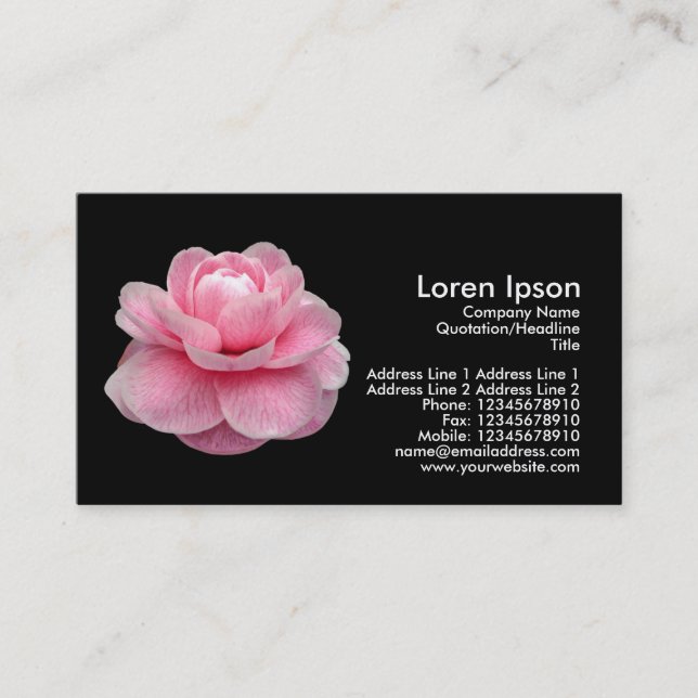 Pink Camelia - Black Business Card (Front)