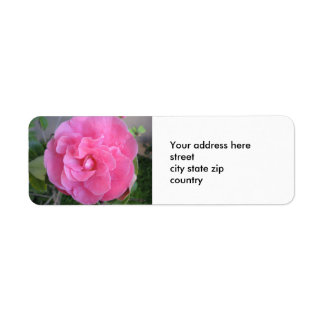 Pink Camelia Blossom Return Address Label